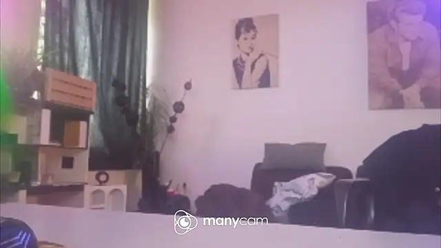 der_dino30 webcam show