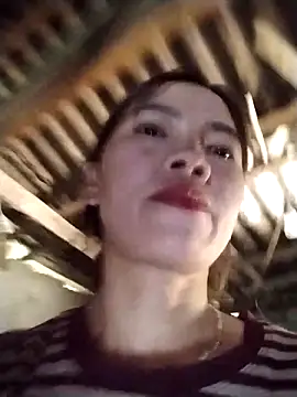 lmc-zz 网络视讯表演