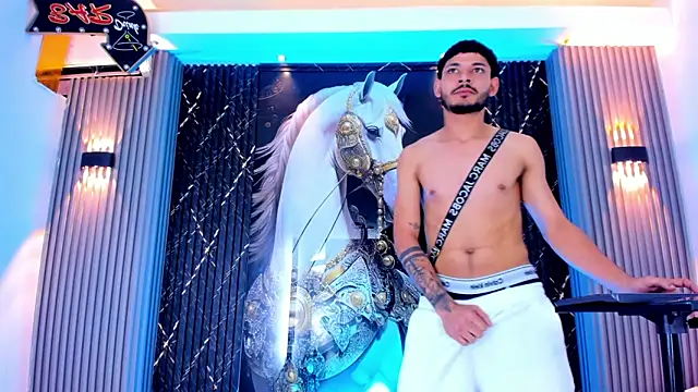 Show modela the_knights_of_the_night_ na web-kameri