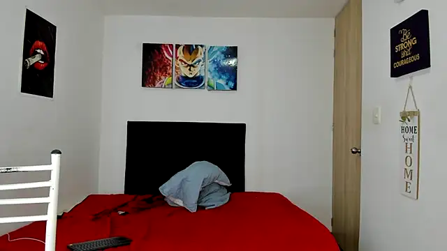 miguelangelsaenzのウェブカメラショー