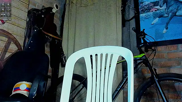 عرض كام dominic_jonson