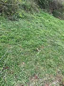 srr7788 Adlı Modelin Canlı XXX Sohbeti