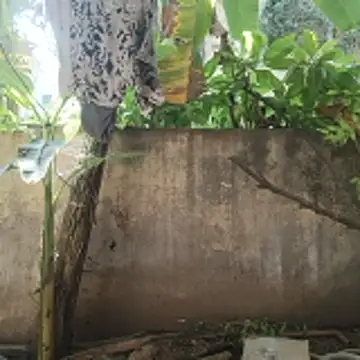 Show Webcam de gaysexfun_123