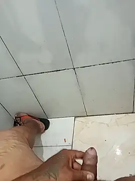 Show de DGdaSul na webcam