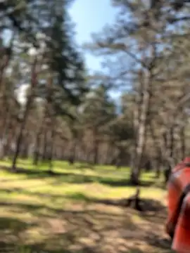 SweetCuteGirls1023: онлайн-секс-чат