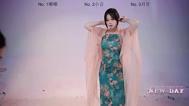 NEW-DAY Pertunjukan Webcam