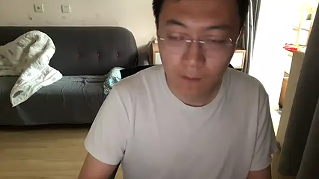 Show webcam de wang930115