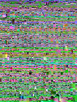 sisi-maiden 现场XXX聊天