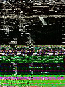 Piratee666のウェブカメラショー