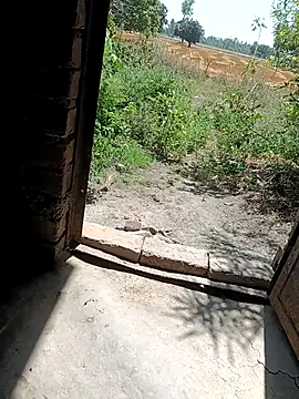 Shivanisingh4's Live XXX Chat