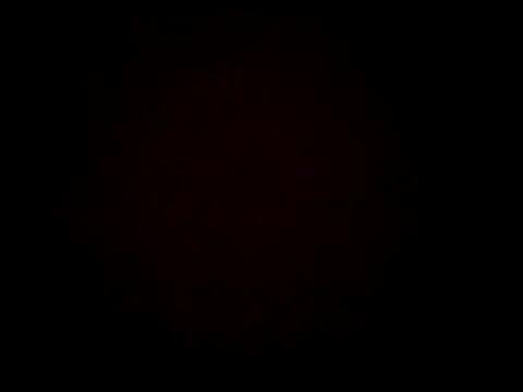 Big-ol-Hot-Rod: διαδικτυακό σόου στην κάμερα