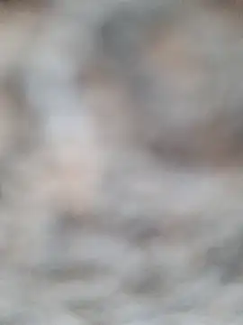 Priya_Bong's Webcam Show