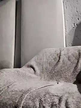 Big_D_SD Webcam Show