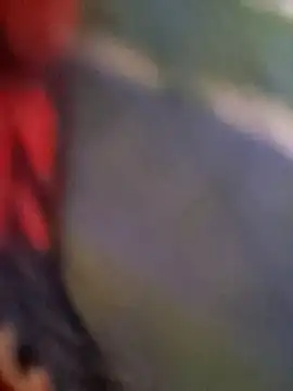 XXX chat uživo modela Ruhi_07