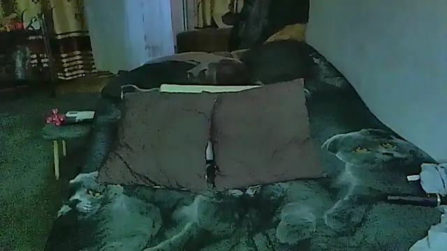 sex2 Chat XXX in diretta