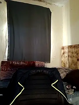 69_SINNSn Webbikameraesitys