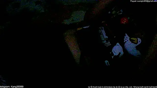 Kang143のライブXXXチャット