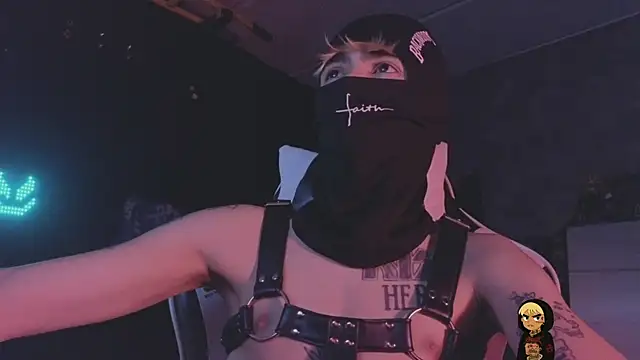 AcidMiloのウェブカメラショー