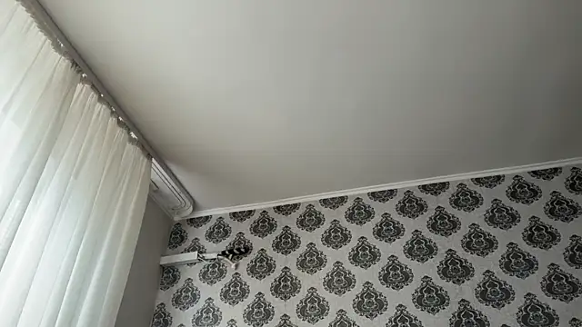 Chat +18 de tomasdickpick ao vivo