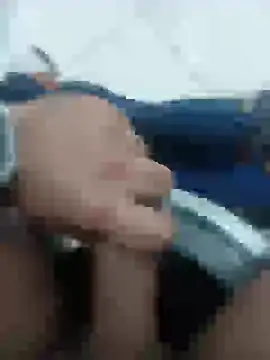 Stallionbull37 Webcamshow