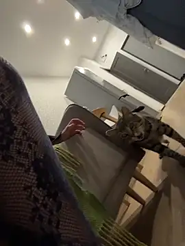 Chat XXX ao vivo de RinaCat