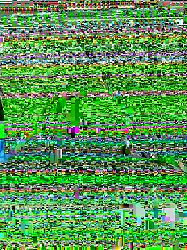 Вебкам-шоу Jadellina