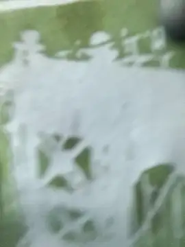 Ananya_34のライブXXXチャット