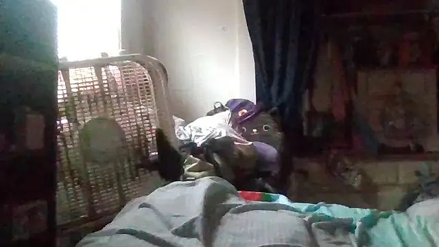 starlight1983: απευθείας συνομιλία ΧΧΧ