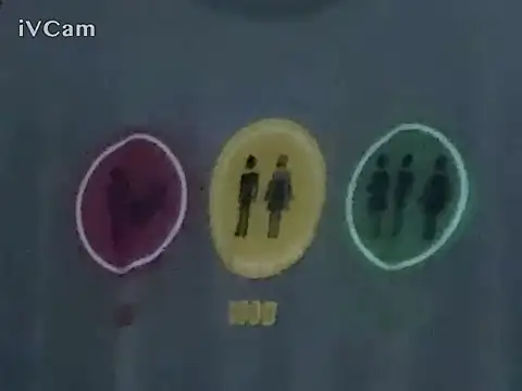 แชท XXX สดของ PierRiminiX