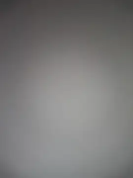 TheDime Chat XXX live