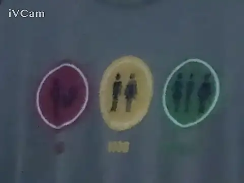 PierRiminiX Adlı Modelin Canlı XXX Sohbeti