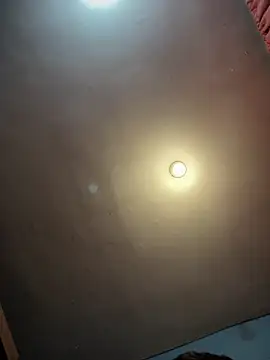 Softsebas21 Webcam Show