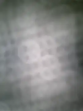 LadyLeni Webcam show