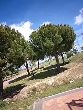 bellapaty Obrolan Langsung XXX