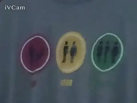 دردشة PierRiminiX الجنسية المباشرة