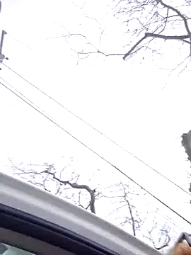 Živý XXX chat Aria423