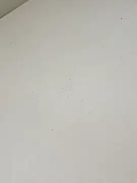 Show de webcam de guridosul051