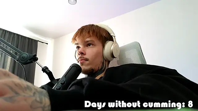 DENIS_HEREn Webbikameraesitys