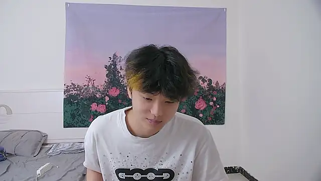 Show Webcam de icecream-002