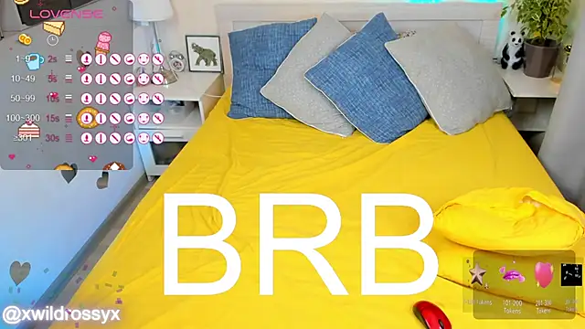 Chat +18 de wildrossy ao vivo