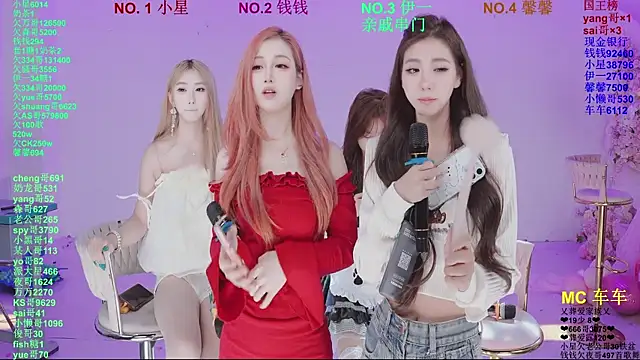 Show webcam de ZZ00033S