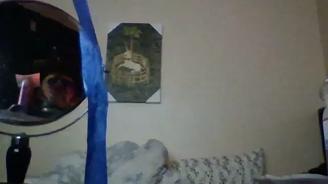 hailzeffn's Webcam Show