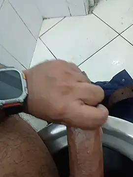 Stallionbull37 webkamerás műsora