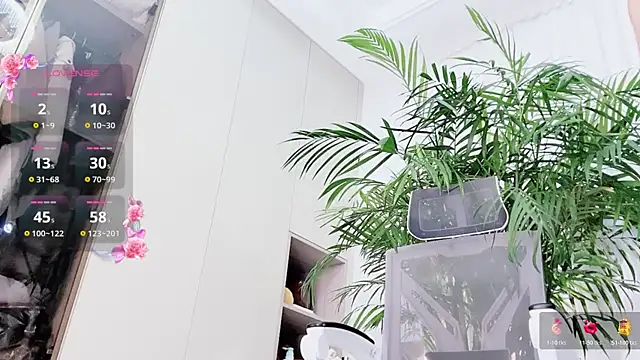 Chat +18 de feifei-love ao vivo