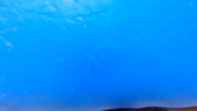 thebesthairypussy2 Obrolan Langsung XXX