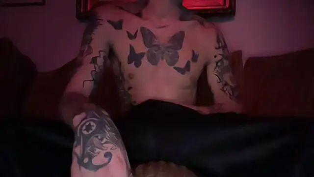 parTyboyTXn Webbikameraesitys