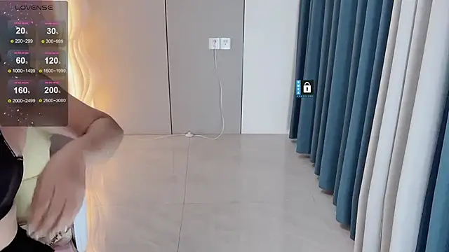 HH-1 网络视讯表演