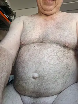 Show webcam de ratomau