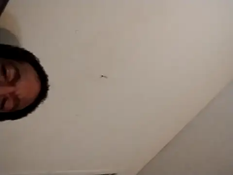 247Srokin's Webcam Show