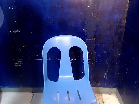 Show webcam de SimiLause